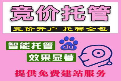 SEM搜索引擎优化实战案例：从失败到成功的优化历程